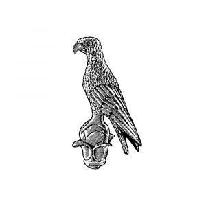 10 Νέα Προγράμματα Επιμόρφωσης ΚΕΔΙΒΙΜ Παν/μίου Ιωαννίνων – Έναρξη Απρίλιος 2026